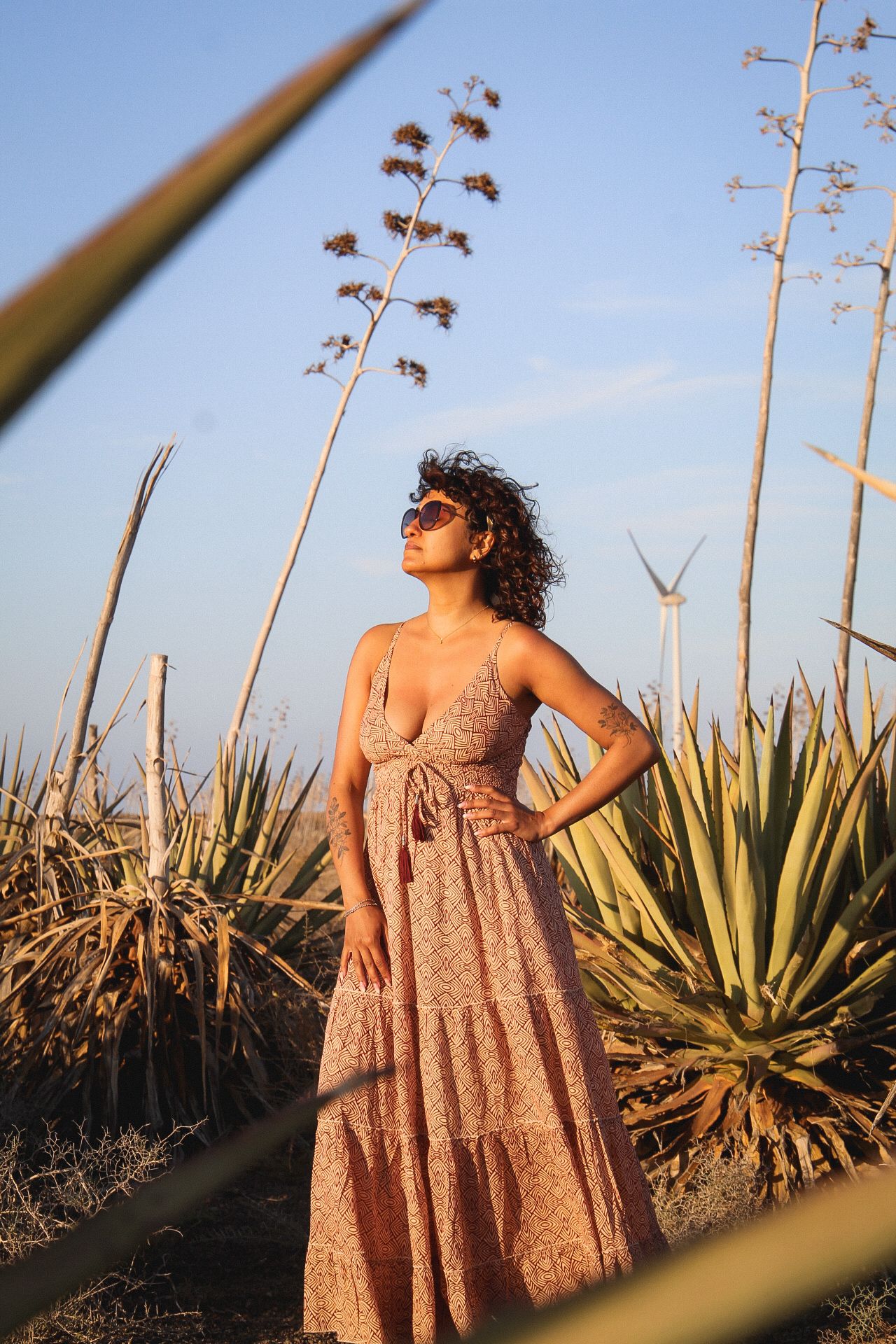 Lakshmi dress