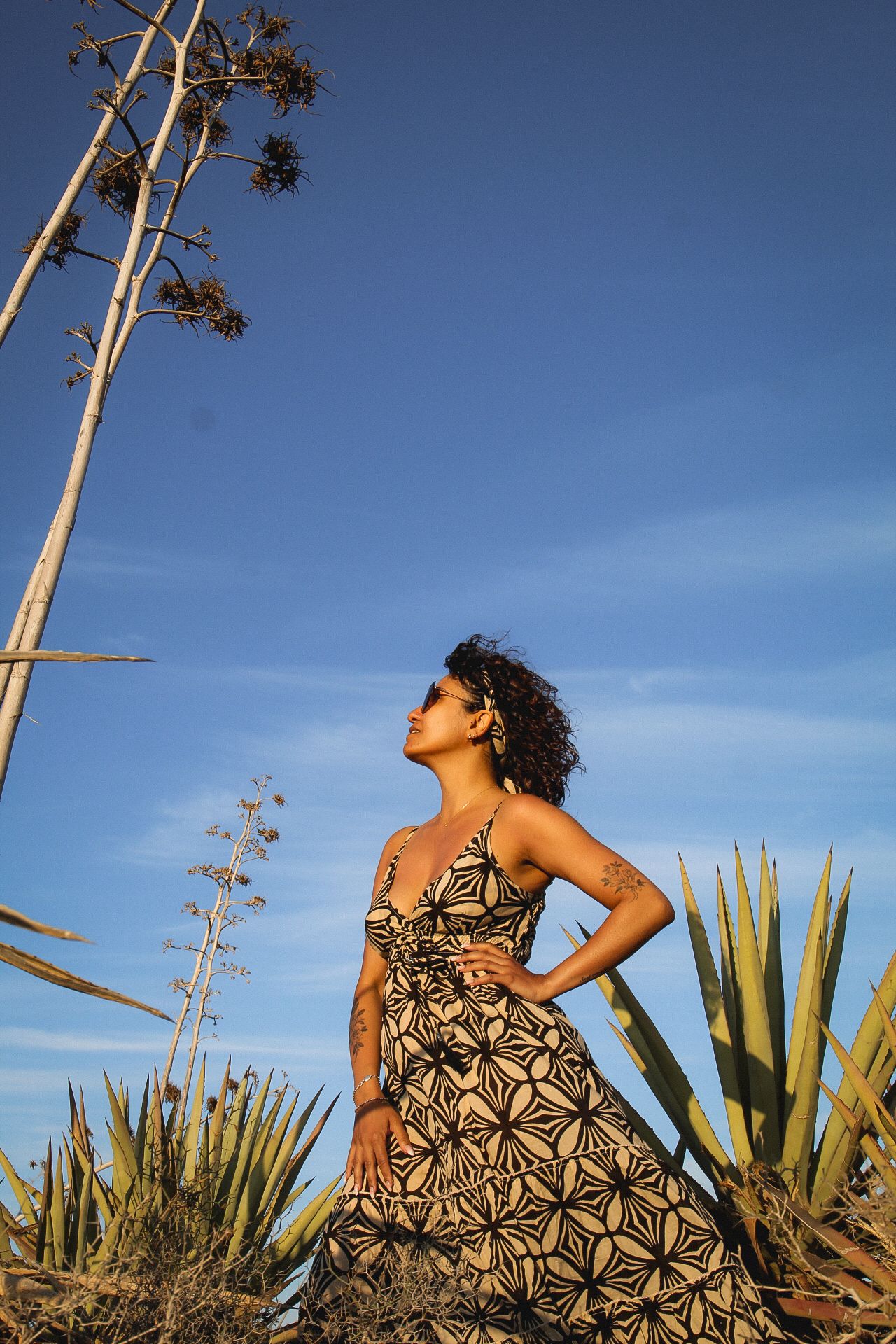 Lakshmi dress